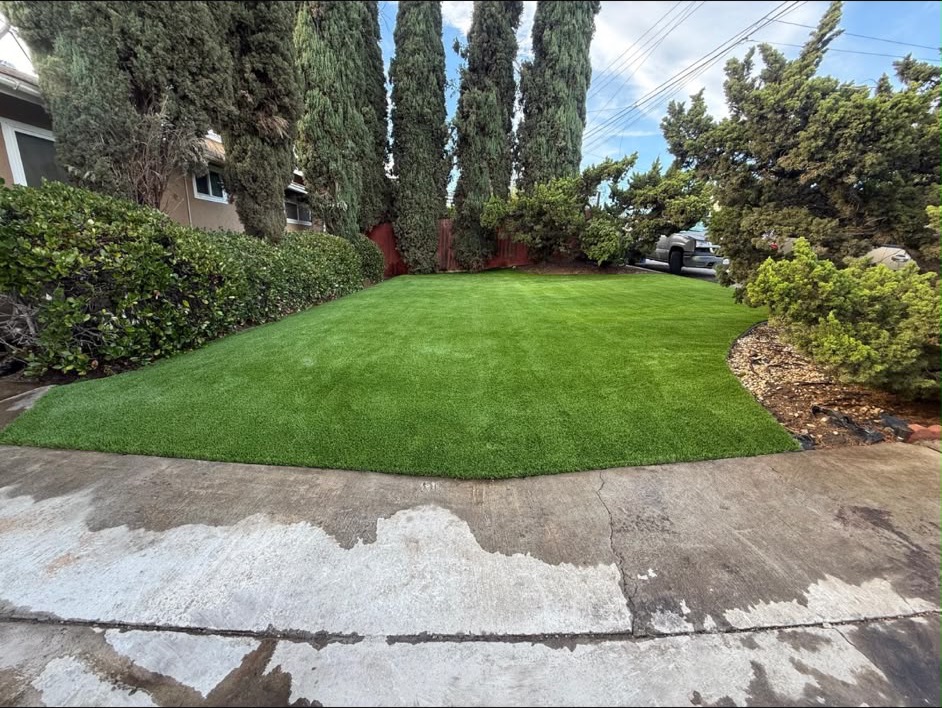 Completed front-lawn transformation with a clean curved edge and established planting